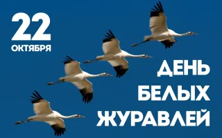 Изображение День белых журавлей. Необыкновенная история, придуманная жизнью